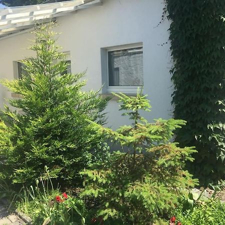Kleines Haeuschen Am Garten In Дармштадт Экстерьер фото